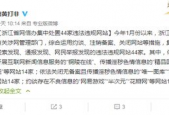 在线国产成人精品