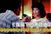中国国产黄片,暗流涌动的地下影视世界